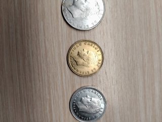 Lote de monedas en funda