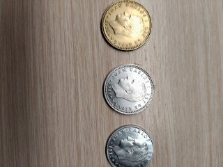Lote de monedas en funda