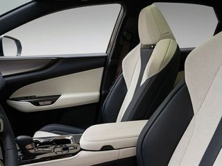 Lexus NX F SPORT