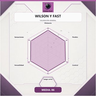 Set de Palos de Golf WILSON y SLAZENGER