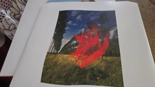 Vinilo Pink Floyd Color