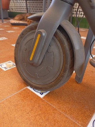 Patinete Eléctrico Xiaomi Essentials