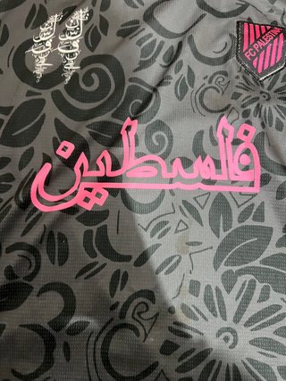 Camiseta Palestina Gris y Rosa