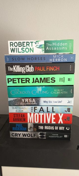 Lot de 10 llibres en anglès