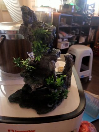 22×20×12,Figura decorativa acuario y + A ESTRENAR
