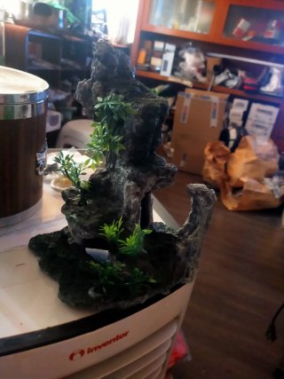 22×20×12,Figura decorativa acuario y + A ESTRENAR
