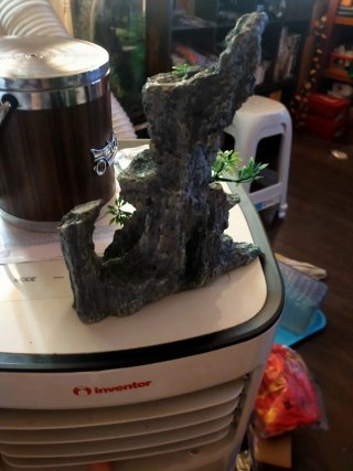 22×20×12,Figura decorativa acuario y + A ESTRENAR