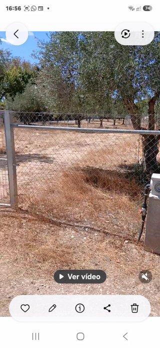 AlQuilo parcelas
