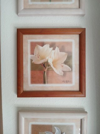 Set 3 Quadretti Decorazione Fiori