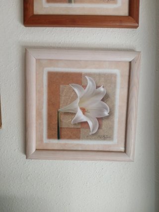 Set 3 Quadretti Decorazione Fiori