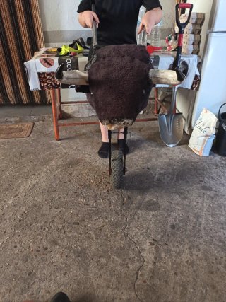 Toro de carretilla para peñas