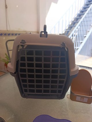 Lote mascota pequeña: transportín, bebederos/comed
