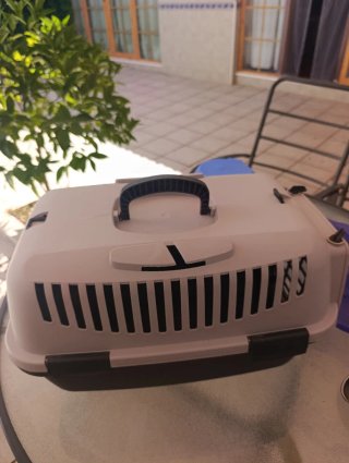 Lote mascota pequeña: transportín, bebederos/comed