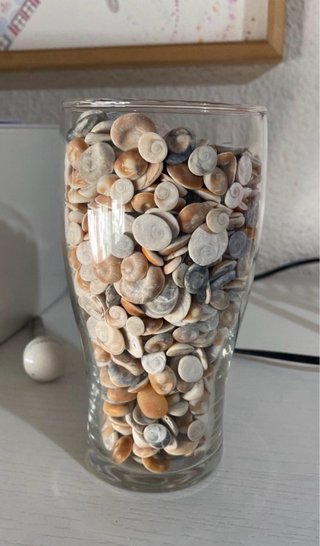 20 Ojos de Santa Lucía - Orejitas