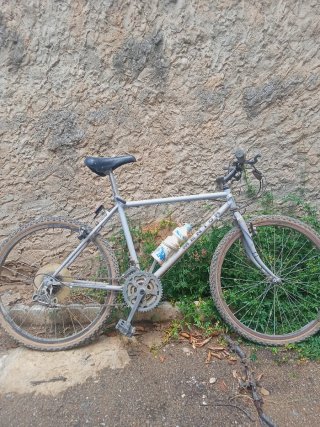 Bicicleta Shimano SIS