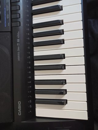 Piano Casio WK-500