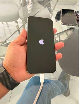 iPhone 15 Pro Max con funda MagSafe