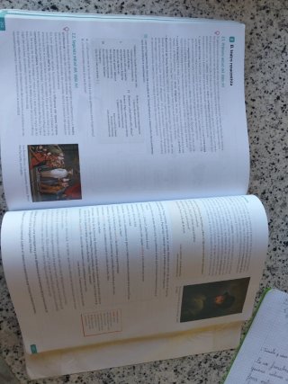 Lengua castellana y literatura 1 Bachillerato