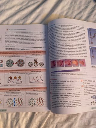 Biología, Geología y CC. Ambientales 1º Bachill...