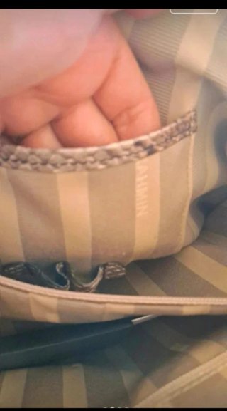 Bolso de mano Brahmin piel serpiente