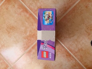 Lego Friends 315