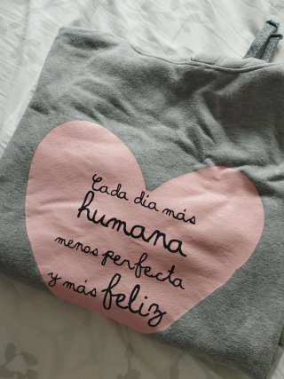 Sudadera Anabel Lee gris y rosa lentejuelas