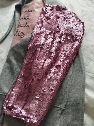 Sudadera Anabel Lee gris y rosa lentejuelas