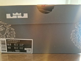 Nike Lebron Witness 9 Talla 42