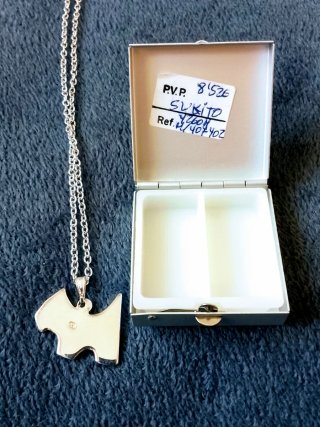 Collar perro y caja con perro