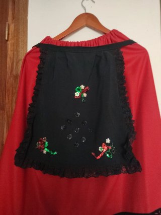 Falda regional "manteo"y delantal bordado