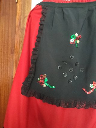 Falda regional "manteo"y delantal bordado