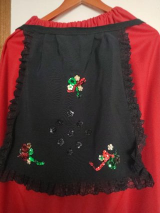 Falda regional "manteo"y delantal bordado