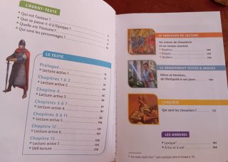 Yvain, le Chevalier au lion