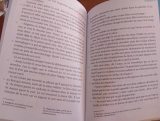 Yvain, le Chevalier au lion