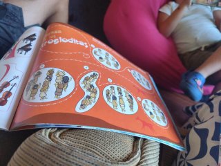 Libro Música 2 Primaria