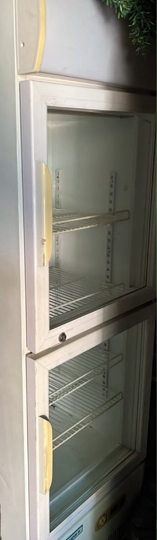 Nevera de negocio