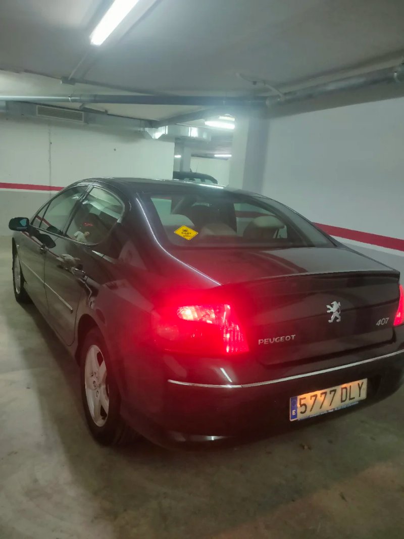 Peugeot 407 2005 - foto 1