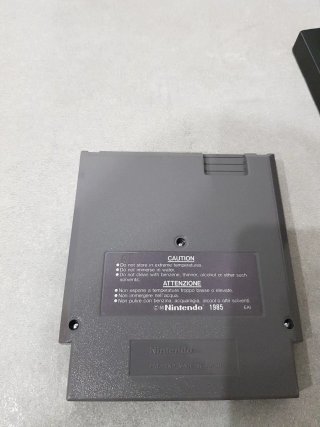 Wizards & Warriors III NES videogame