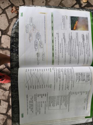 LINGUA E LITERATURA 1