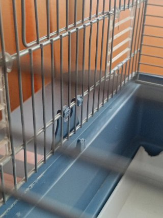 Jaula grande para aves