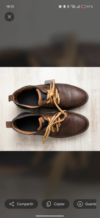 Zapatos marrones elegantes