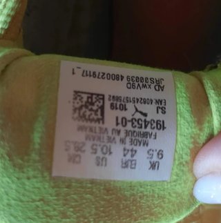 Zapatillas Puma Clavos Salto Altura