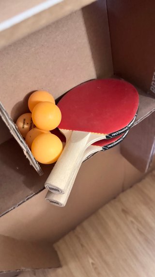 Mesa Ping Pong Decathlon Pongori PPT100 + 2 Palas