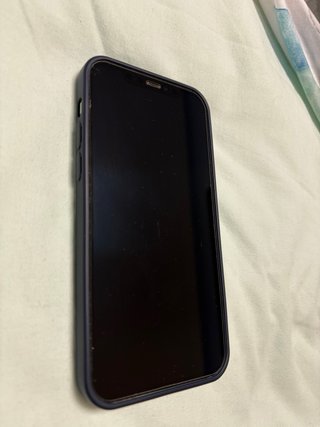 iPhone 12 Verde