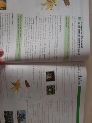 CIENCIAS DE LA NATURALEZA 2 ESO AVANZA LOS CAMI...
