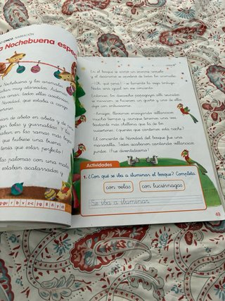 LECTURAS LA NAVE DE LOS LIBROS 1 PRIMARIA LOS C...