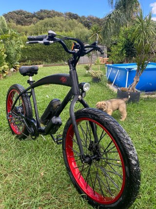 Bicicleta Eléctrica Negra Como Nueva