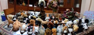 Lote 54 Peluches Perros The Dog Collection