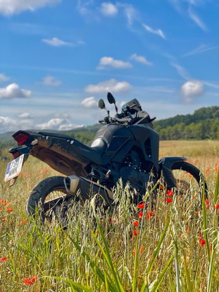 Honda Transalp  XL750 9800km