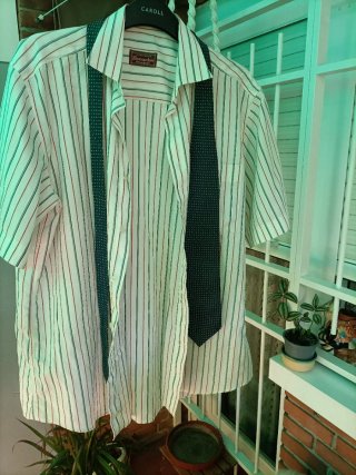 Camisa de manga corta y corbata Snowdon